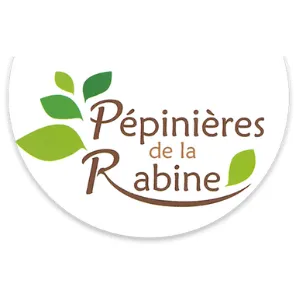 amenagement de jardin vern sur seiche