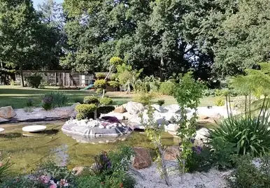 aménagement de jardin Vern-sur-Seiche-5
